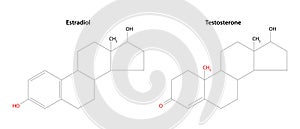 Estradiol and Testosteron: Structural formulas.